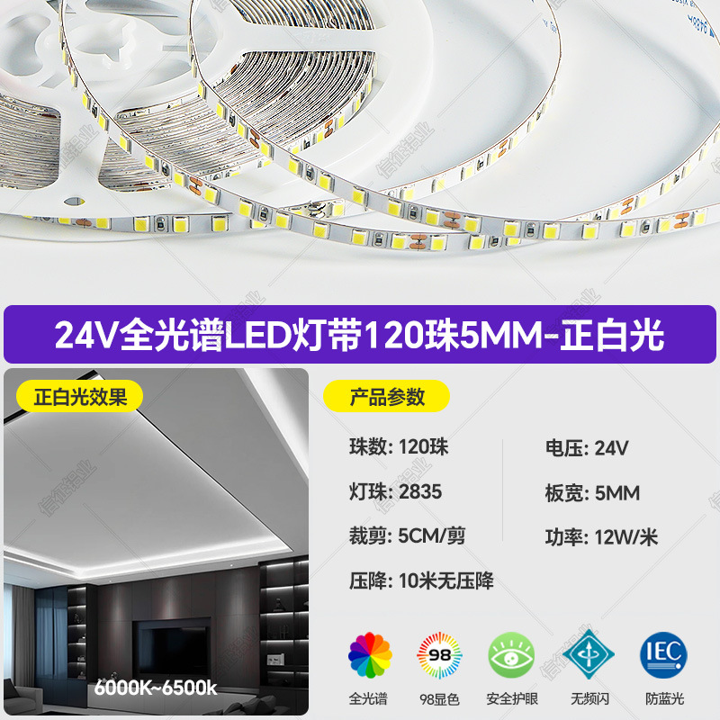 Tira de Luz LED Flexible para El Hogar 24V 2835 Baja Tensión, Regulable, Control Inteligente para Techo y Sala de Estar