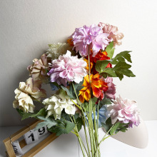 c滨֧3^ܽػٻșҾb[·YŻ