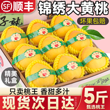 顺丰包邮大果黄毛桃5斤新鲜水果当季桃子大果水果蜜桃脆桃整箱