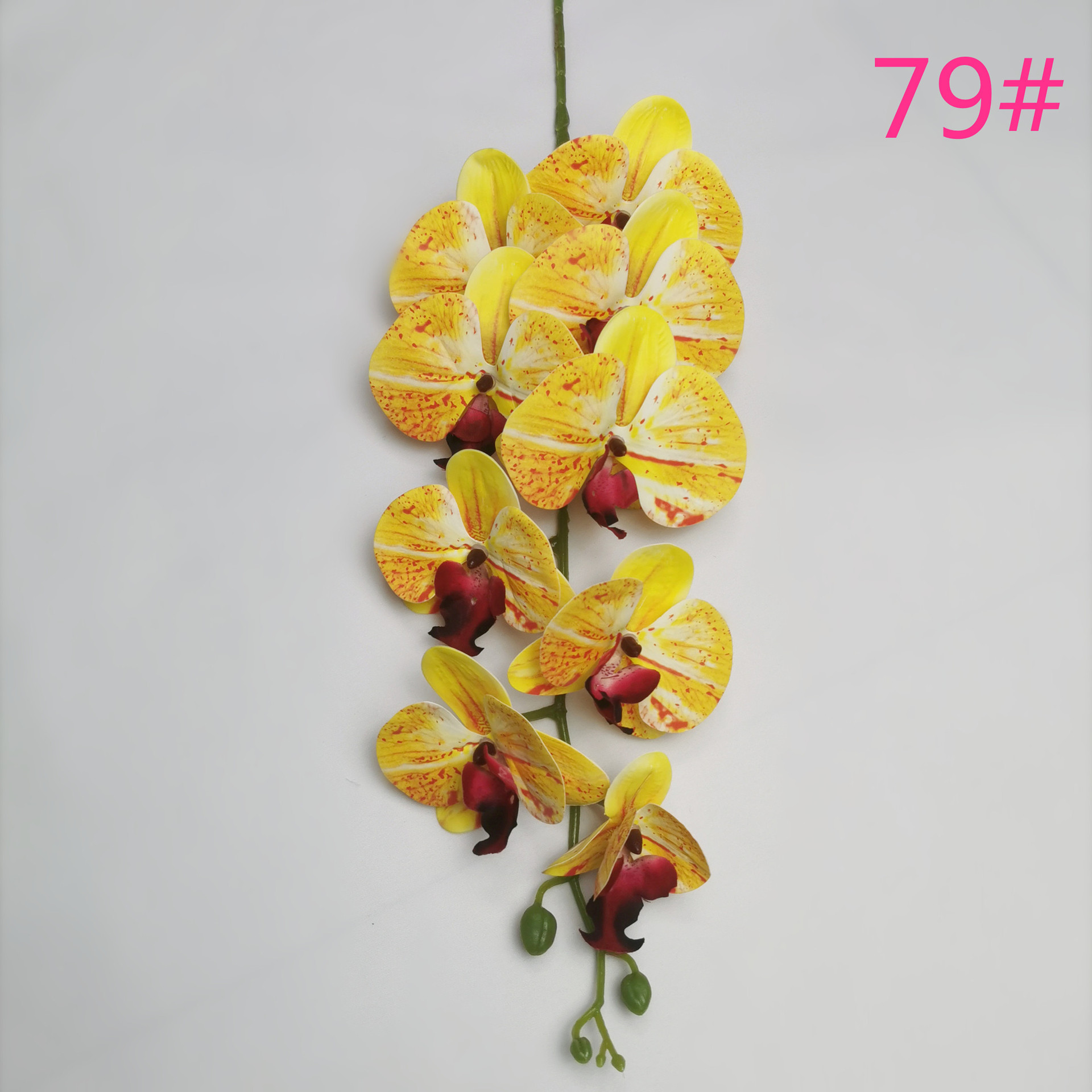 IMG_20220531_183641_副本