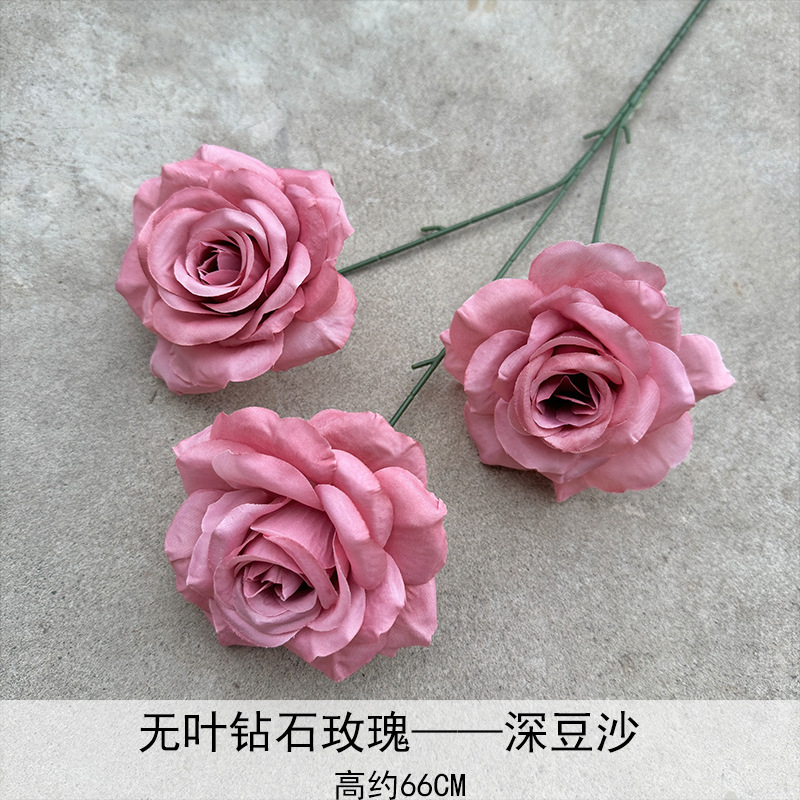 Rosa de diamante sin hoja-6