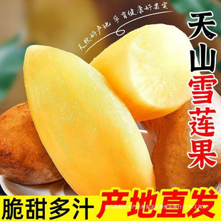 �����ɽѩɏ�����r�t�S�ľ��x9���������֭�ЋDˮ��������]5