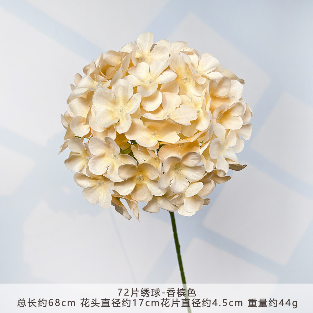 HXX-72片绣球-香槟