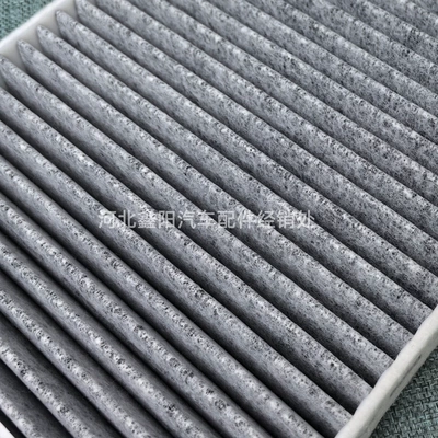 Conditioning Filter Element Compartment – Air conditioning filter