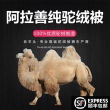 ���q���ӼӺ�ů����������p�ˌW����о���|��ë����