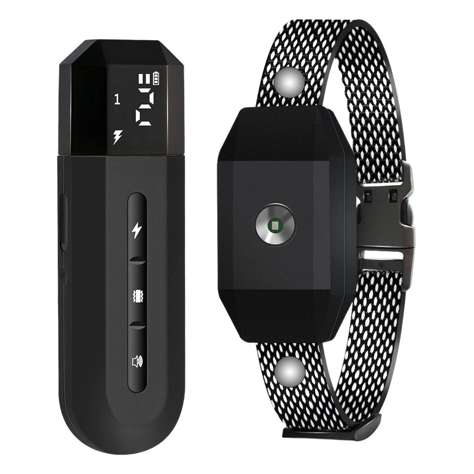 Новый трансграничный пульт дистанционного управления интеллектуальный дрессировщик собак фонарь Вибрационный шок предупреждение цельная доставка остановка лай товары для домашних животных