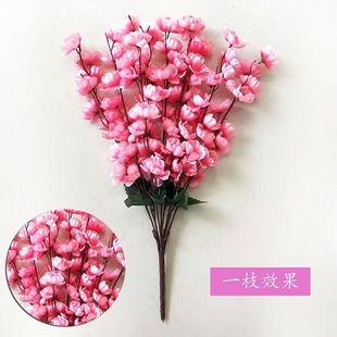 �һ�7���һ����滨����쾰�����÷���ٻ�9��֦���Q���l�����쾰