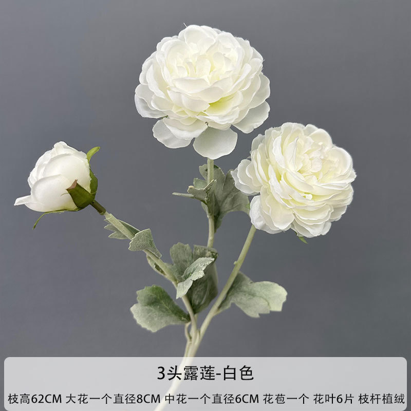 3 헤드 듀 로터스