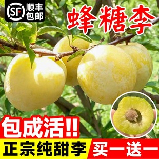 �������Ә���޽��ش�����Ó��������ӹ������ϱ����N���A�����