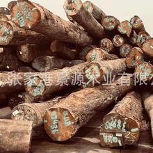 杜英QUA杂木 白杂木 红杂木原木 适用于家具木 雕刻木 防腐木