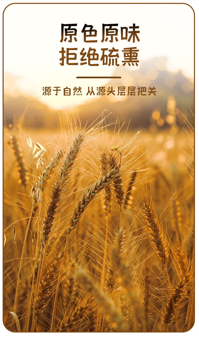 Roasted Barley Tea Da Mai Cha 250g Bag Caffeine Free Brewed Grain Tea for Restaurants Hot Pot quality and texture