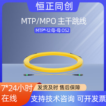 30m OS2光纤跳线8/12芯MTP®-12 APC转MTP®-12 APC单模主干跳线