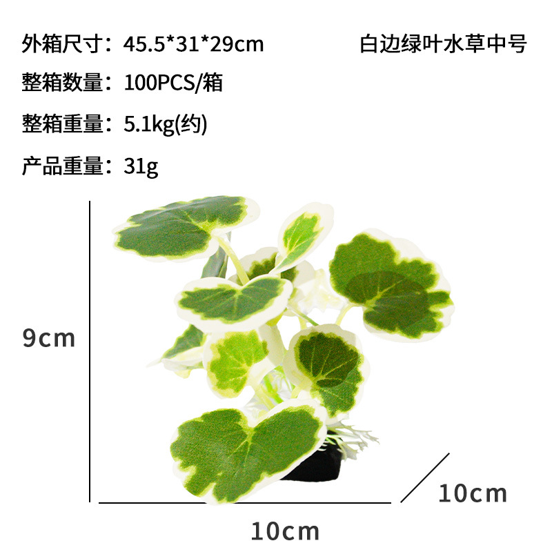 Mal de hoja verde de borde blanco