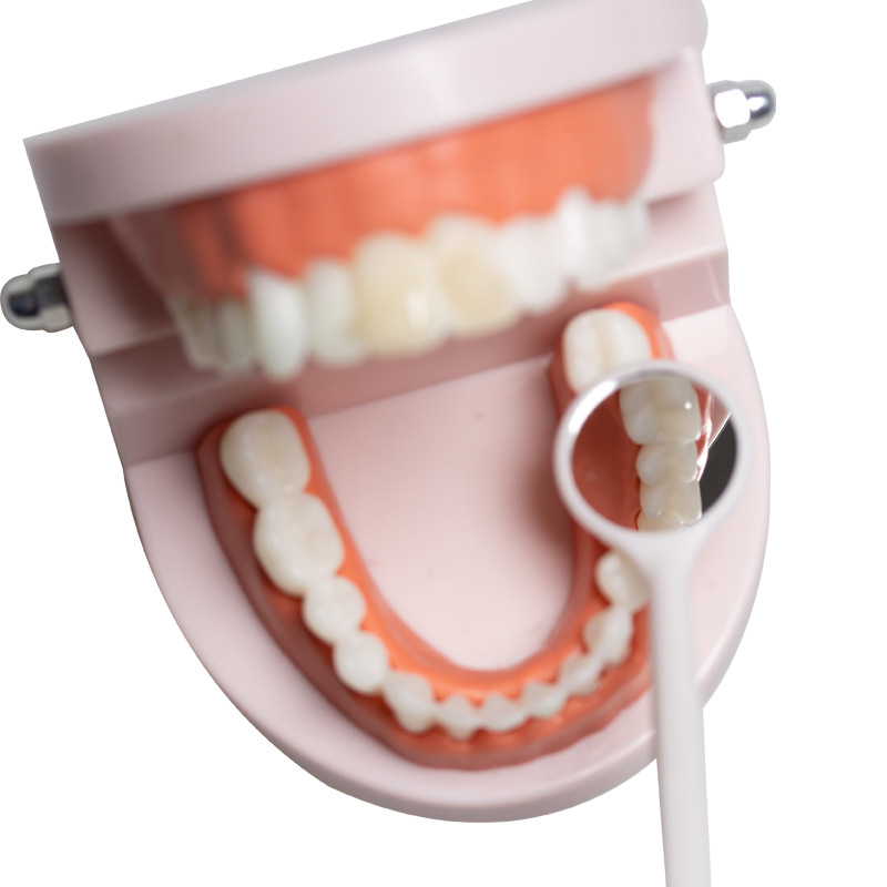 Caja de instrumentos de herramienta de examen oral de espejo pequeño desechable dental espejo de boca desechable cavidad oral