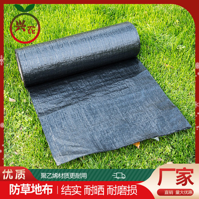 农用防草布除草布耐用果园果树遮盖盖草抗老化地布地丁厂家直销