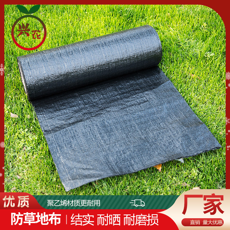 农用防草布除草布耐用果园果树遮盖盖草抗老化地布地丁厂家直销