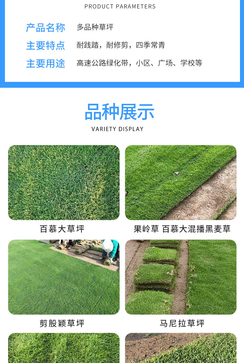 多品种草坪_003