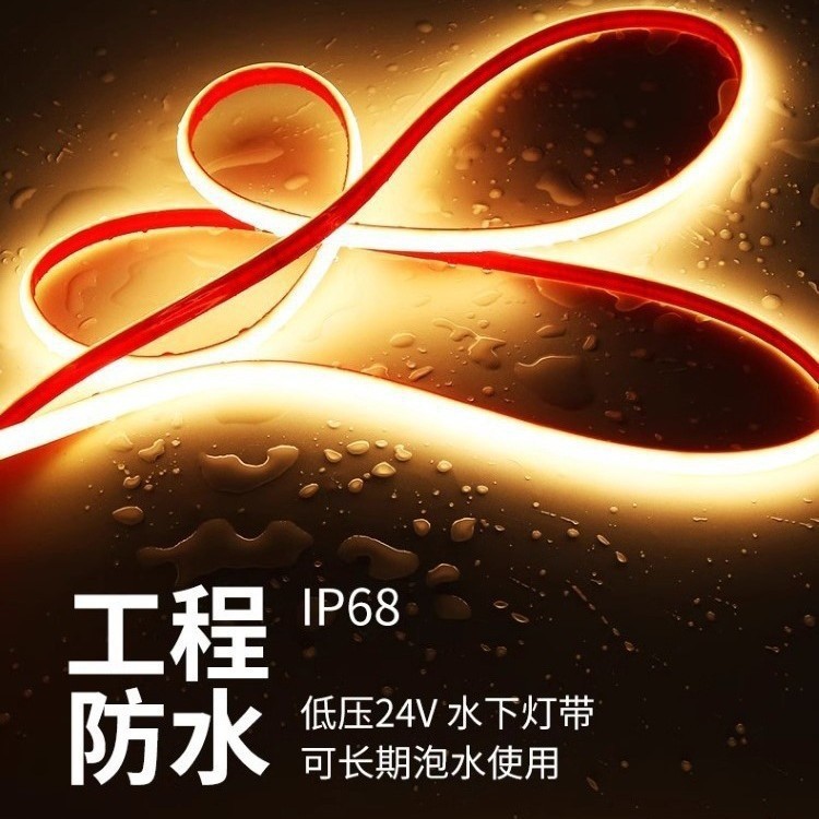 IP68 防水 LED 灯带 24V 实心硅胶 鱼缸泳池水底亮化 景观软灯条