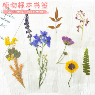 �ܷ�˱�ֲ��˱��׃��@��ͯ�̌W�ɻ���������~������Ƭ