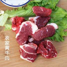 河南南阳黄牛肉本地散养新鲜黄牛生牛肉牛碎肉冷冻商用大块碎牛肉