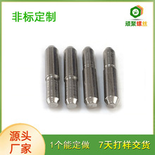 东莞厂家供应 特殊螺丝 轴芯螺丝 电子电器螺丝 马达电机螺丝