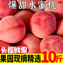 水蜜桃现货3/5/10斤新鲜当季水果桃子现摘脆甜毛密桃批发包邮批发