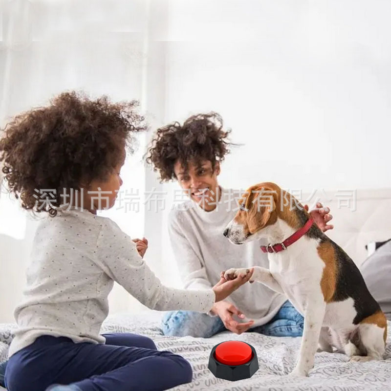 O1CN01wLqTf02M6ptQYgXL1_!!2213