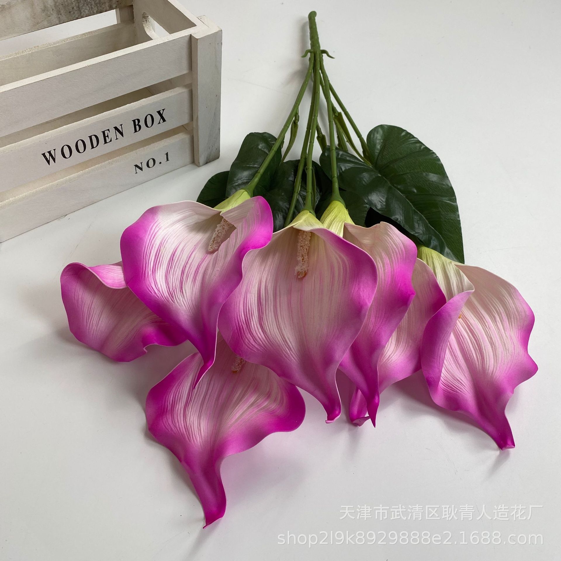 59883a462388cfb1d49add9cba1486