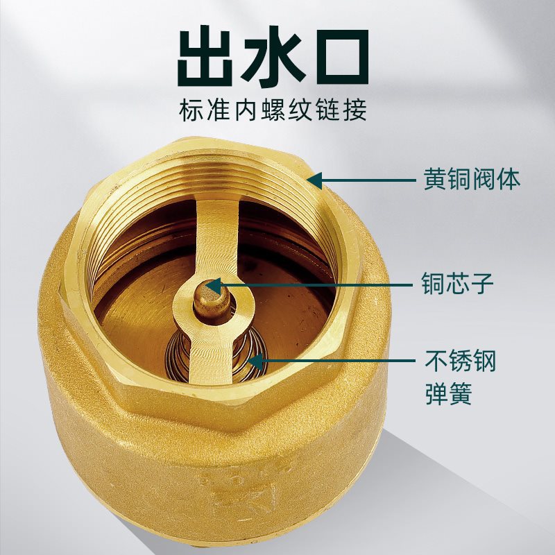 铜止回阀单向阀止逆阀止水阀马桶热水器阀门4分6分1寸2寸水管水表