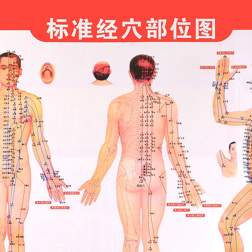 High-Resolution Double-Sided Acupuncture Book with Meridian Massage and Moxibustion Charts, Including Common Clinical Cases and Moxibustion Application Guidelines