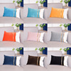 Swan, bar, two-color decorations, pillow for side table, pillowcase, Scandinavian sofa, Amazon, increased thickness