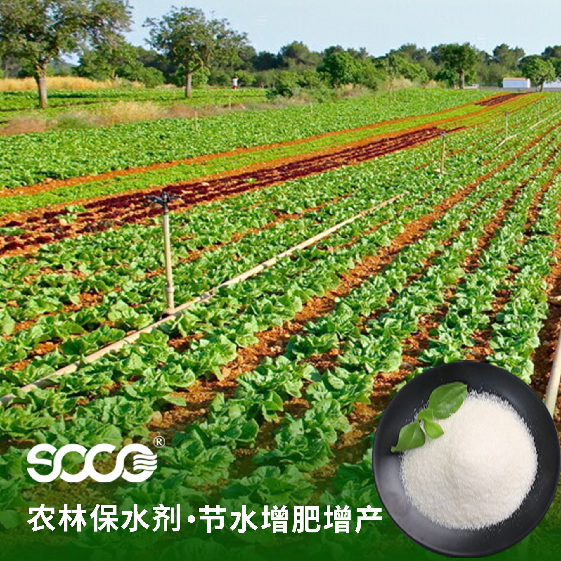 山东厂家批发作物种植农林保水剂土壤改良保肥抗旱保湿保水剂颗粒