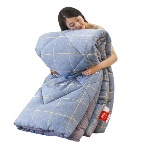Manufacturer wholesale thickened warm quilt winter quilt core single dormitory spring and autumn thin quilt air conditioning quilt four seasons quilt