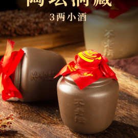 不老潭新品（洞藏系列）白酒小瓶装纯粮食酒小酒版白酒陶坛125ml