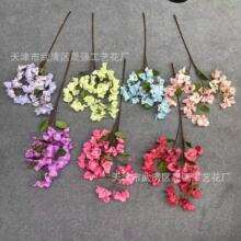 ������������÷��c�Ҿ��b����ٻ�����ܛ�b�����廨