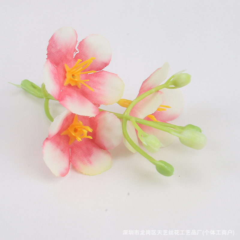 분홍색 흰색