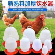 鸡水桶水槽饮水壶小鸡饮水器 自动饮水壶 养鸡设备 养鸡用品