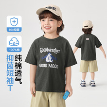 �ҚW��ͯ���޶���T�����b2026�¿�ͯ�b�ļ���ͯ����Сͯ��������