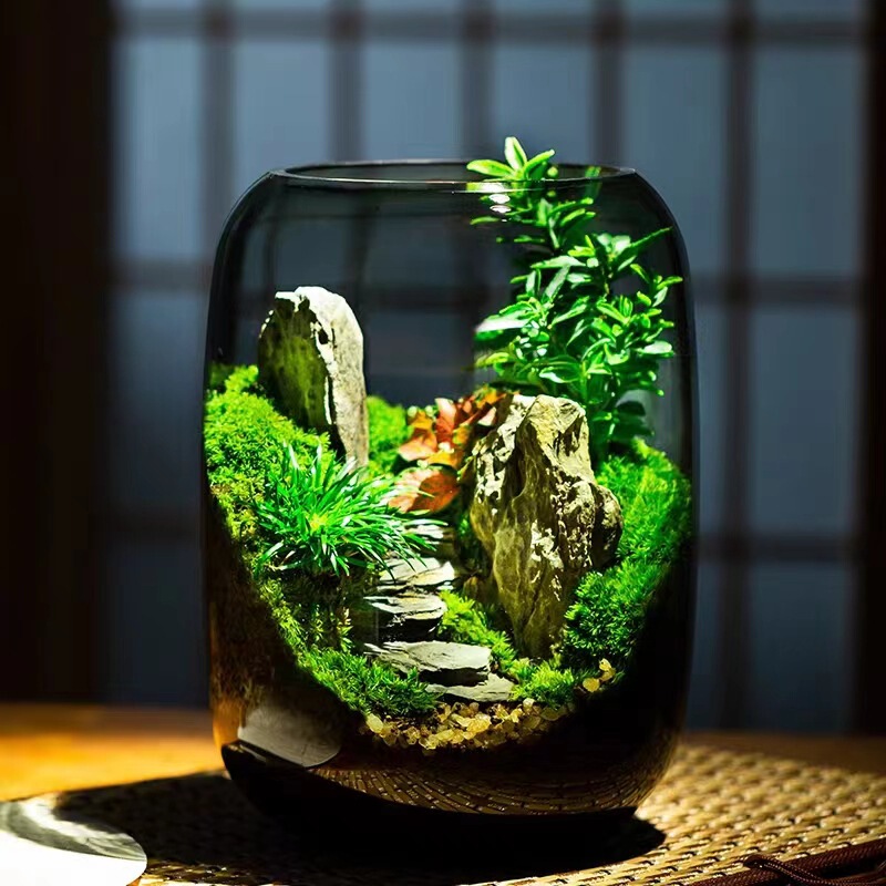[Castle Peak] Bryophyte Micro Landscape Ecological Tank Creative Potted Ornaments Real Plant Desktop Landscape Factory Hair