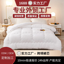 定制2025新款羽丝被芯磨毛压花保暖冬被春秋被学生被大量外贸批发