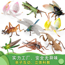 �羳���挍�����x����ģ������m����������у�֪ͯ���J֪�[��