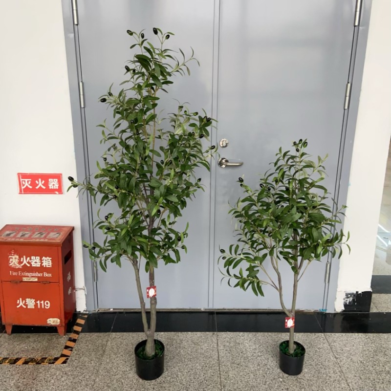 微信图片_20250303134437