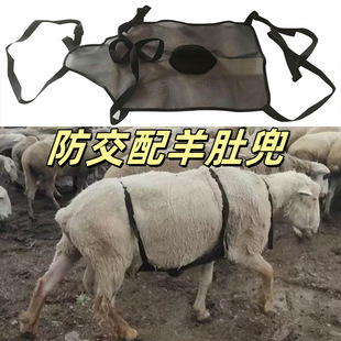 �¿���Ƕ�͸���������ĸ��Ƕ���ԭ�N�������Ƕ��������Rţ��