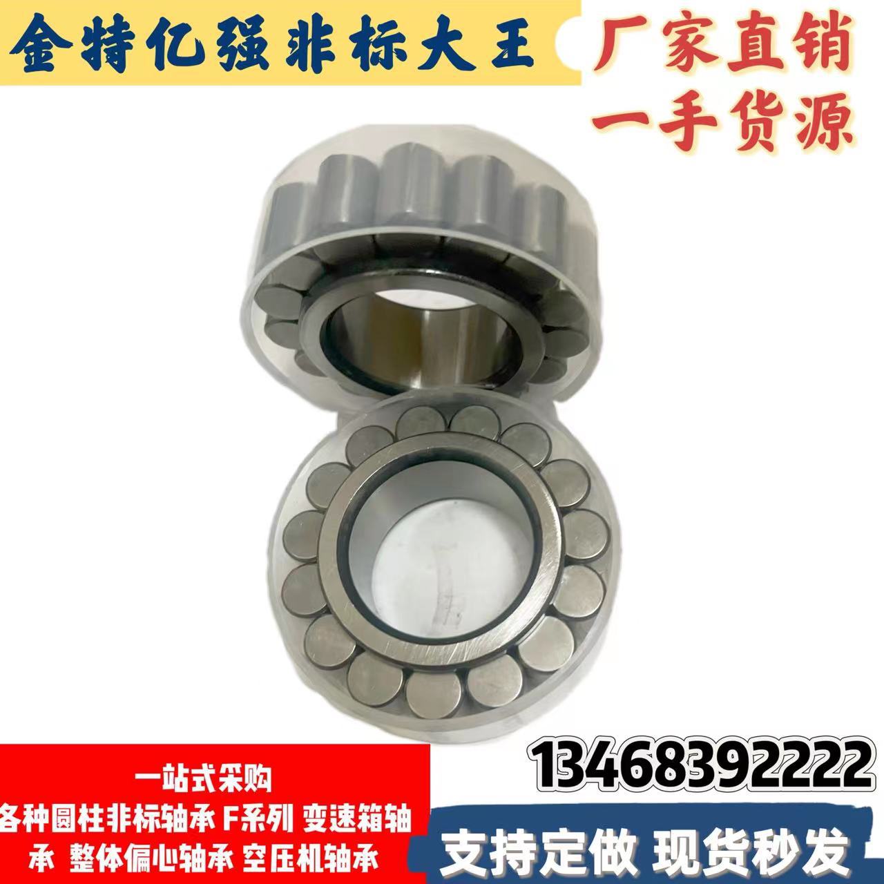圆柱滚子非标轴承F-229076.02 F-229079.1 F-229070 液压泵轴承