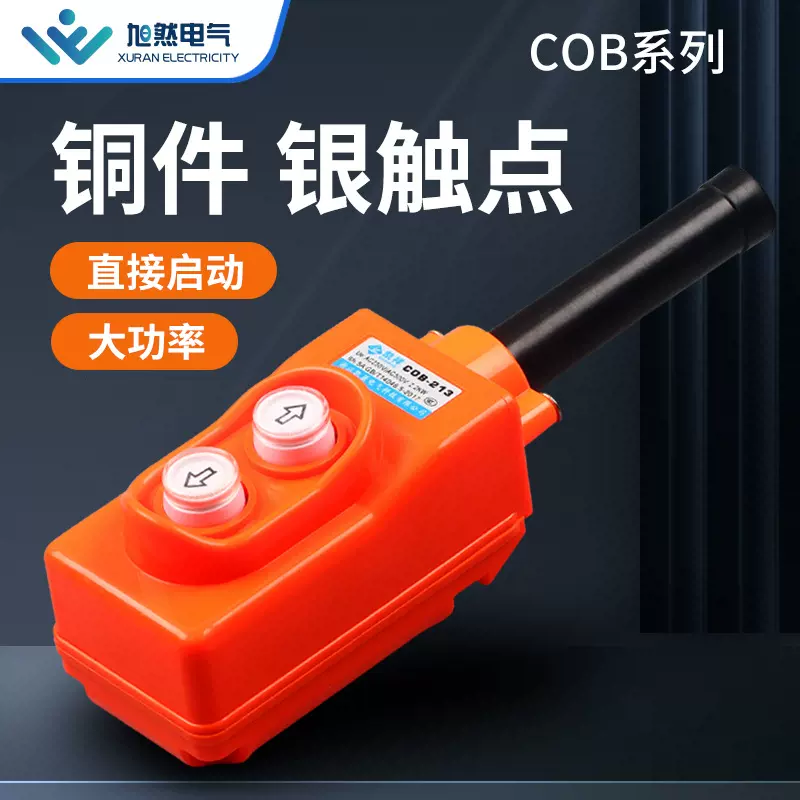 COB-213起重机开关 COP-213电动葫芦开关 防雨型行车按钮控制开关
