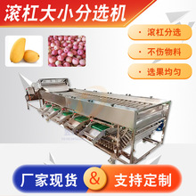 全自动土豆滚杠分选机 商用红薯大小分级机 山楂沃柑分拣流水线
