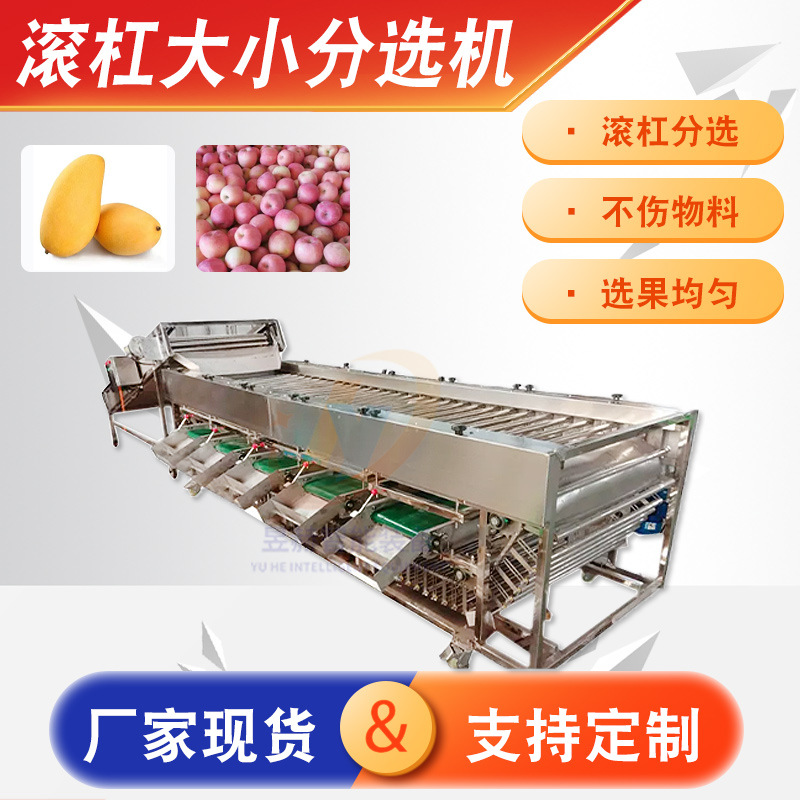 全自动土豆滚杠分选机 商用红薯大小分级机 山楂沃柑分拣流水线