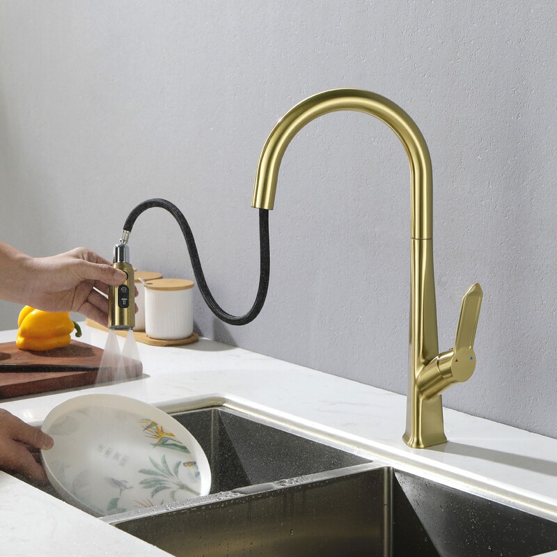 Three-In-One Kitchen Faucet for Cross-Border Use, Household Sink with Pull-Out Dual-Pipe Direct Drinking Water Hot and Cold Kitchen Faucet