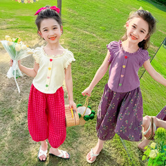 Summer Set for Girls 2024 New Fashion Little Girl Heart Fastener Mosquito-Proof Pants Set for Kids - Two-Piece Set