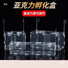 亚克力加厚大号独立隔离盒大鱼虎鱼龙鱼幼鱼繁殖盒乌龟苗鱼缸